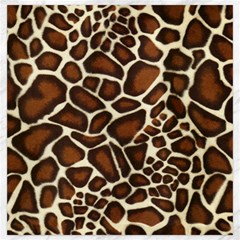 Giraffe Texture, Macro Canvas 20  X 20  by kyorashop23