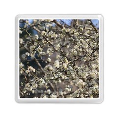 Pear Tree In Full Bloom Memory Card Reader (square) by ExtraAwesomeSauce