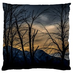 Tree Silhouette At Border Of Nahuel Haupi Lake, Rio Negro, Argentina Large Cushion Case (two Sides)