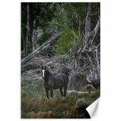 Meadow Landscape, Los Altares, Chubut Province, Argentina Canvas 12  X 18  by dflcprintsclothing