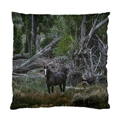 Meadow Landscape, Los Altares, Chubut Province, Argentina Standard Cushion Case (two Sides)