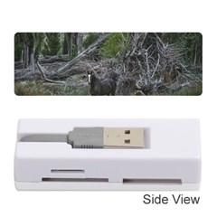 Meadow Landscape, Los Altares, Chubut Province, Argentina Memory Card Reader (stick)