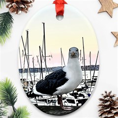 Fisherman?¯s Ward, San Francisco, Ca Oval Ornament (two Sides) by RiverRootz