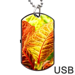 Leaves Plant Pattern Croton Nature Dog Tag Usb Flash (two Sides) by Sabxi