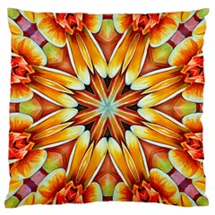 Botany Large Cushion Case (two Sides)
