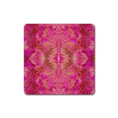 Tondo Symmetry Square Magnet